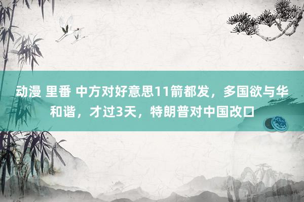 动漫 里番 中方对好意思11箭都发，多国欲与华和谐，才过3天，特朗普对中国改口